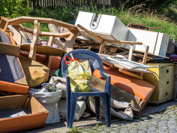 Best Office Junk Removal  in Walnut, IL